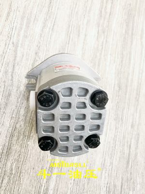 HITACHI EX200-1 EX300 पायलट हाइड्रोलिक गियर पंप 4181700 9217993 4181700